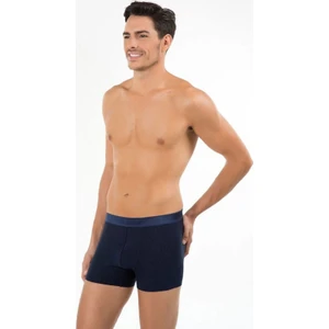 Luca Erkek Boxer 44BX30061