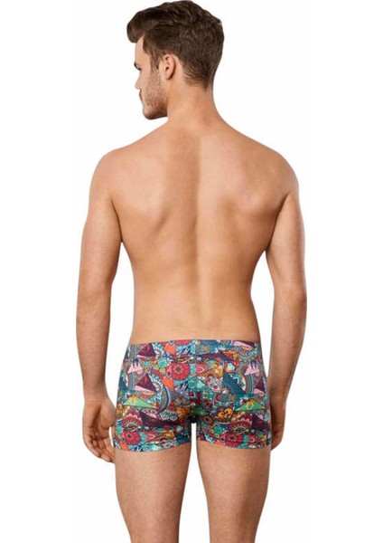 Erkek Desenli Boxer 1807 fiyatları