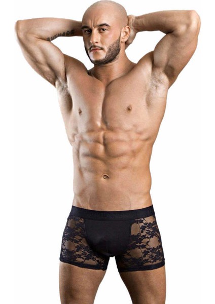 Erkek Boxer 1952