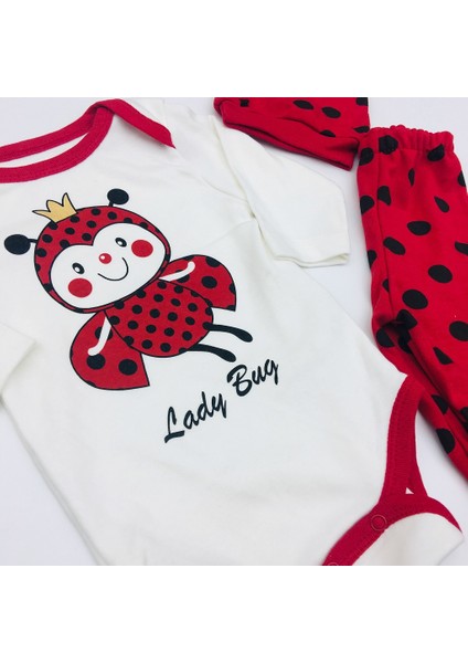 Kız Bebek Uğurböceği Body Takım fiyatları
