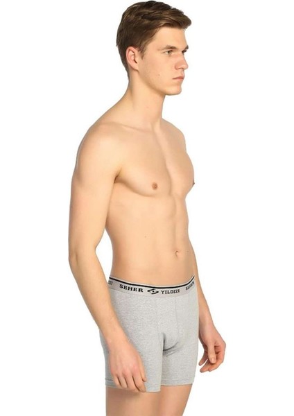 Likralı Erkek Boxer Gri fiyatları