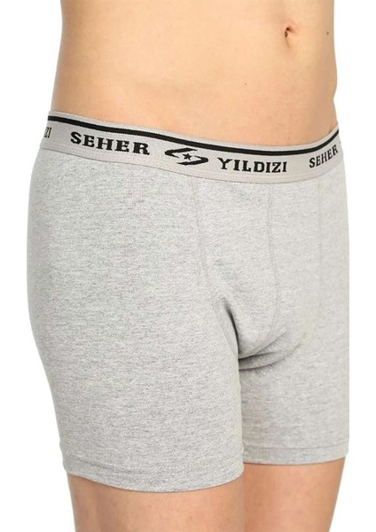 Likralı Erkek Boxer Gri fırsatları