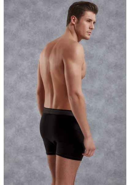 Erkek Boxer 1520 fiyatları