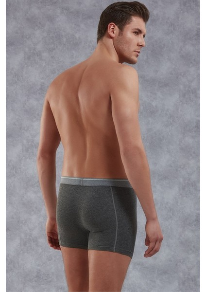Erkek Boxer 1756 fiyatları