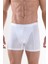 Aura Erkek Boxer 9502 1