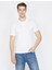 Erkek Polo Yaka T-Shirt 1