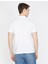 Erkek Polo Yaka T-Shirt 4