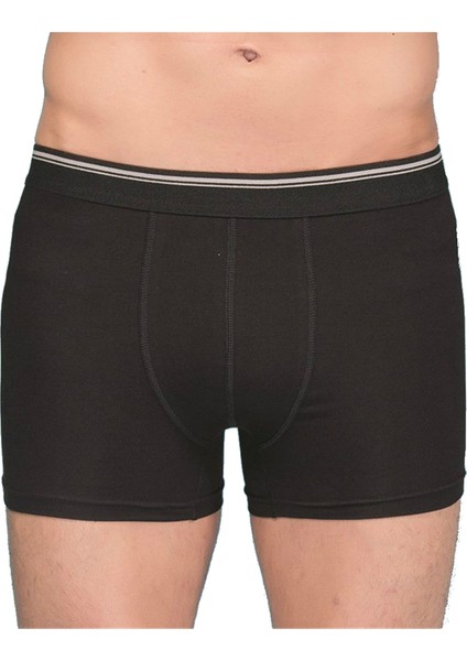 Lıcralı Boxer