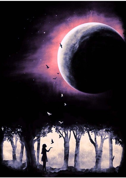 Dark Moon Bayan Tshirt