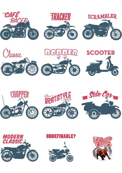 Motorcycles Bayan Tshirt