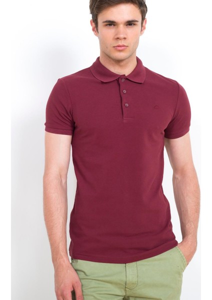 Polo Yaka Slim Fit ErkekT-Shirt Vişne 4613