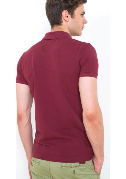 Polo Yaka Slim Fit ErkekT-Shirt Vişne 4613 modelleri