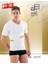 Seamless (Dikişsiz) Yarım Kol Erkek Korse - E1010 1
