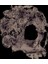 Jungle Skull Bayan Tshirt 2