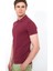 Polo Yaka Slim Fit ErkekT-Shirt Vişne 4613 2