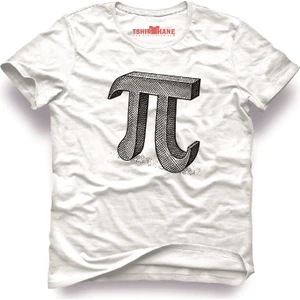 Dünya pi günü Pi sayısı 3,14 Erkek T-Shirt