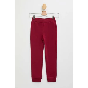 Kız Çocuk Jogger Eşorfman Altı J0220A619AU