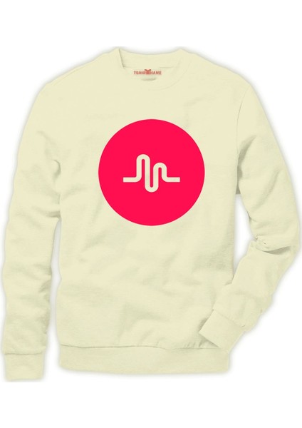 Tik tok Musically ly Erkek Sweatshirt