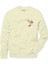 Pokemon avergermon Pidgeot Pigeot Erkek Sweatshirt 1