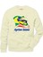 Ayrton Senna flag Erkek Sweatshirt 1