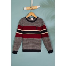 U.S. Polo Assn. Erkek Çocuk Triko Kazak 50206134-Vr033
