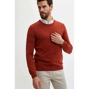 Basic Slim Fit Kazak L2631AZ19WN