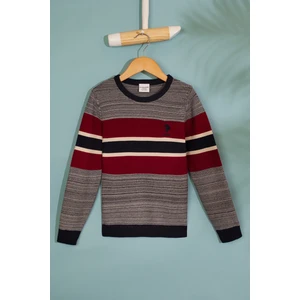 U.S. Polo Assn. Erkek Çocuk Triko Kazak 50206134-Vr033