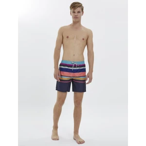 2020630 Erkek Deniz Şortu