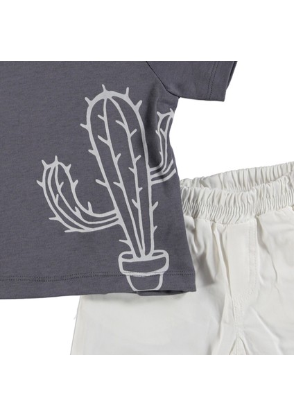 Erkek Bebek Arizona Mexicano 2'li T-Shirt Şort Takım fiyatları