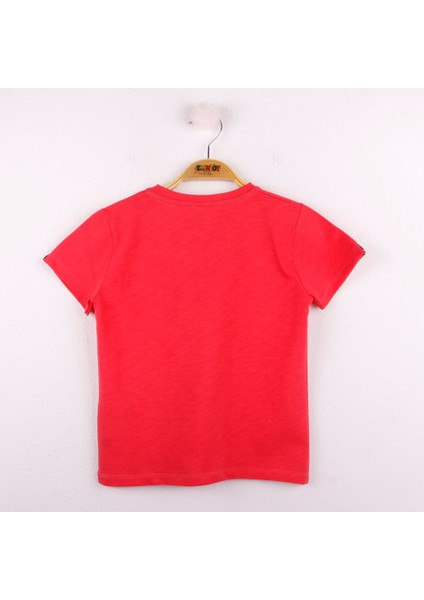 Erkek Çocuk Playhard Baskılı T-shirt fiyatları