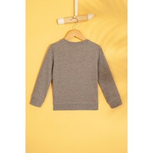 U.S. Polo Assn. Erkek Çocuk Sweatshirt 50215839-Vr086