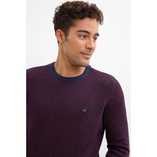 U.S. Polo Assn. Erkek Triko Kazak 50207664-Vr033