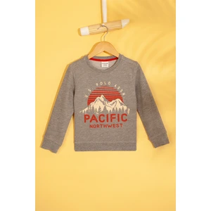 U.S. Polo Assn. Erkek Çocuk Sweatshirt 50215839-Vr086