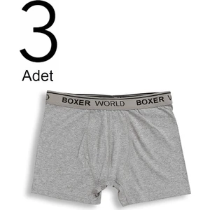 3'lü Erkek Likralı Boxer 14100-A3