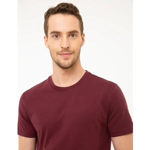 Pierre Cardin Erkek Bordo Slim Fit Bisiklet Yaka Basic Tişört 50217123-VR014