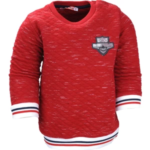 Erkek Çocuk Sweatshirt