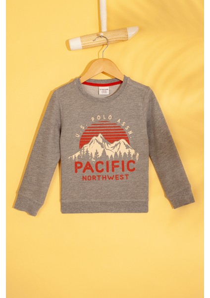 Erkek Çocuk Sweatshirt 50215839-Vr086