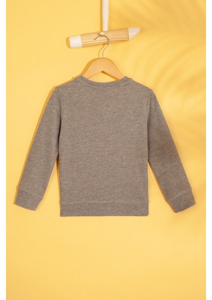 Erkek Çocuk Sweatshirt 50215839-Vr086 fiyatları