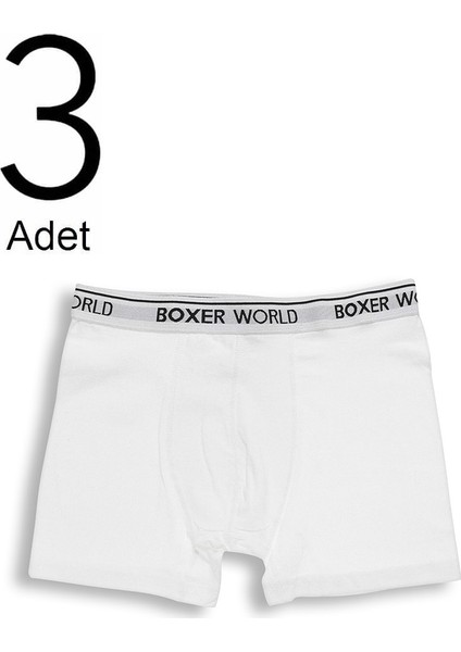 3'lü Erkek Likralı Boxer 14100-A3