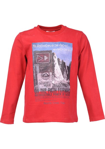 Erkek Çocuk Sweatshirt