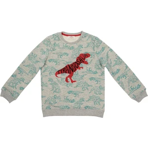 Erkek Çocuk Sweatshirt Gri Melanj (3-7 Yaş)