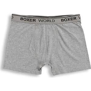 6'lı Erkek Likralı Boxer 14100-A6