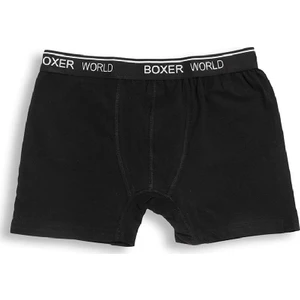 6'lı Erkek Likralı Boxer 14100-A6