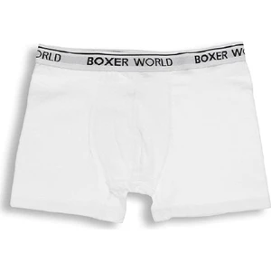 6'lı Erkek Likralı Boxer 14100-A6