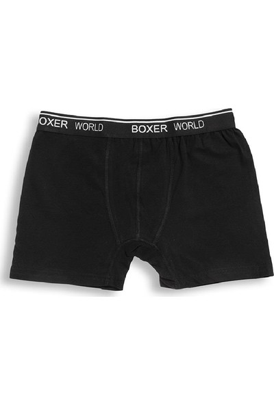 Orbis 6'lı Erkek Likralı Boxer 14100-A6