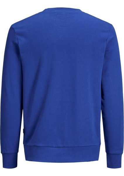 Eholmen Erkek Sweat