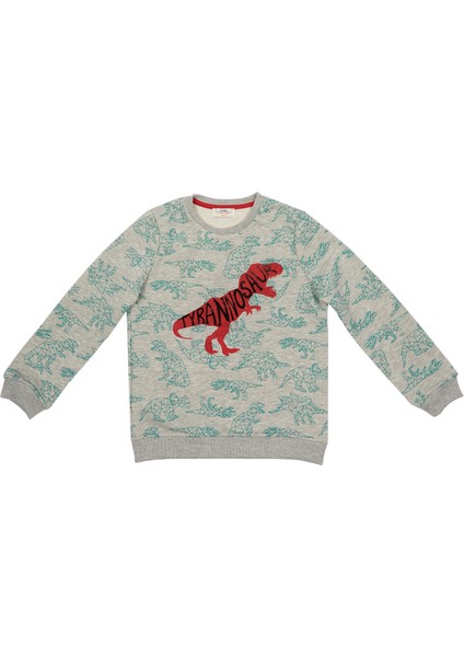 Erkek Çocuk Sweatshirt Gri Melanj (3-7 Yaş)