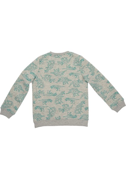 Erkek Çocuk Sweatshirt Gri Melanj (3-7 Yaş)