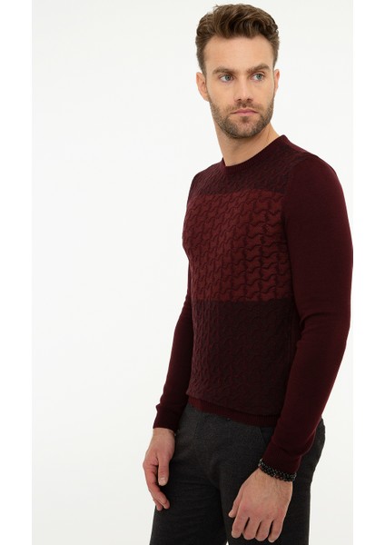 Erkek Bordo Slim Fit Bisiklet Yaka Triko Kazak 50209941-VR014 modelleri