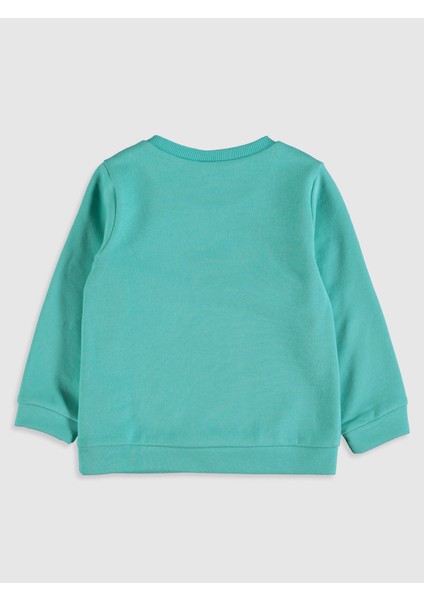 Kız Bebek Sweatshirt fiyatları